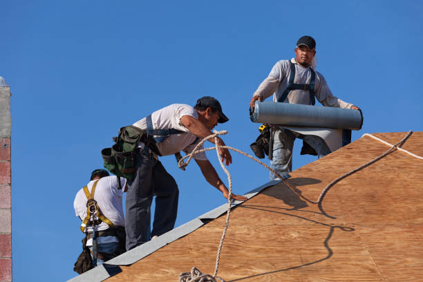 Best Commercial Roofing Services  in Erma, NJ